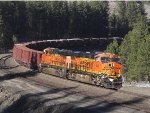 BNSF 6659